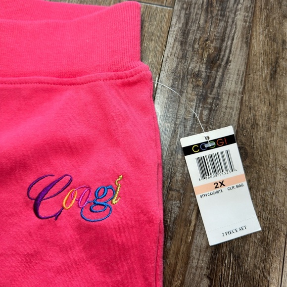 COOGI NWT 2 Piece Sweatset Pink Bedazzled Hoodie and Jogger Sweatpants Size 2XL - Picture 3 of 11